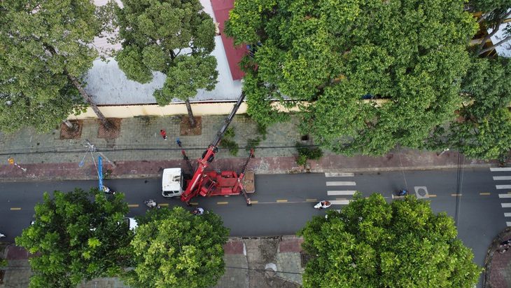 baogiay-54-1731297645774330928938 Nhiều giải pháp hay giúp Trà Vinh vừa giữ được cây xanh vừa phát triển hạ tầng giao thông - Ảnh 1.